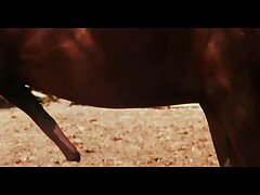 Video de Great Black Hope señoras tetonas xxx (Monicka Jaymes)