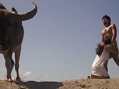 Video de curvas y semen maestras tetonas xxx (Kelly Divine)