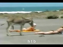 culonas y tetonas follando